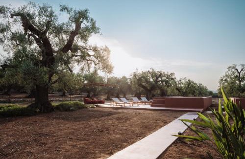 Fasano Bed & Breakfast | OZIO - Il trullo rosso