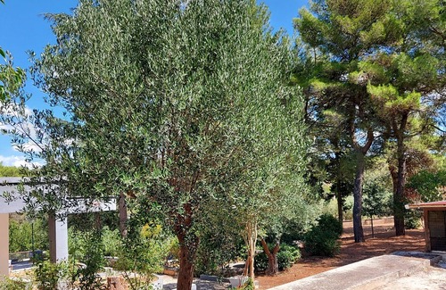 Putignano House | Puglia Tu (Putignano)