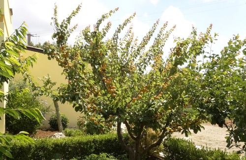 Casarano Apartment | Sabell