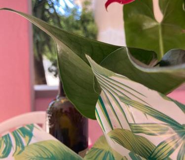 Chiesiola Apartment | Tiglio Vieste