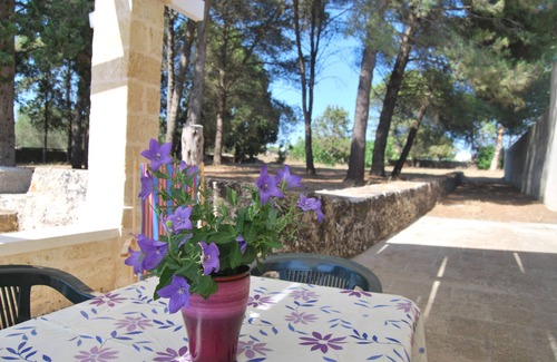 Alessano Apartment | Typical Salento residence