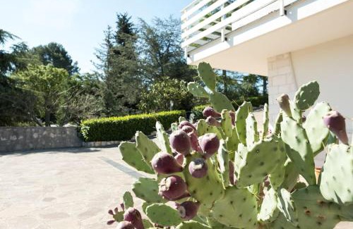 Putignano Villa | Villa del Petraro Valle D'Itria