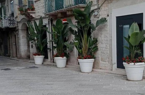 Trani Bed & Breakfast | 36 m² Bed and breakfast ∙ 3 guests