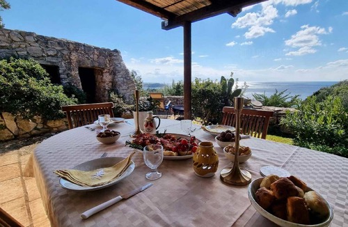 Patu House | 40 m² House ∙ 1 bedroom ∙ 3 guests
