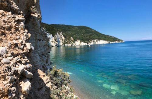 Mattinata Apartment | 45 m² Serviced apartment ∙ 5 guests