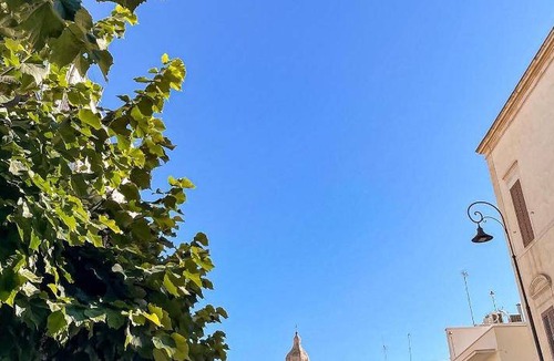 Terlizzi Apartment | 48 m² Apartment ∙ 1 bedroom ∙ 2 guests