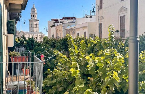 Terlizzi Apartment | 48 m² Apartment ∙ 1 bedroom ∙ 2 guests