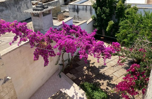 Lizzanello Apartment | 52 m² Apartment ∙ 1 bedroom ∙ 3 guests