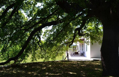 Alberobello House | 60 m² Farmhouse ∙ 4 guests