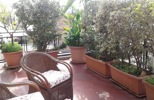 Bari City Centre Apartment | A small green oasis in the city