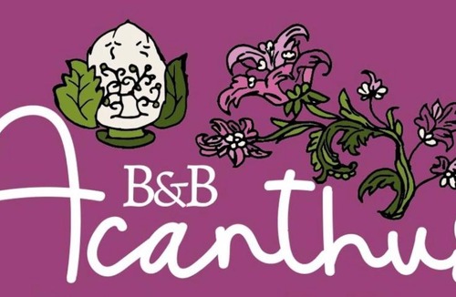 Terlizzi Bed & Breakfast | ACANTHUS
