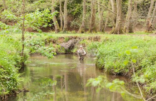 Petersfield Other | Adhurst Yurts