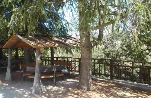 Mattinata House | Agriturismo Monte Sacro