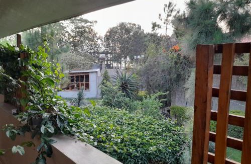Awassa House | Ashara