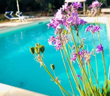 Parabita Bed & Breakfast | B&B DOÑA FLOR