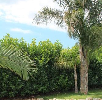 Lizzano Bed & Breakfast | B&B La Nuova Fattoria