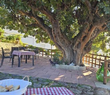 Mattinata Bed & Breakfast | B&B La Scapola