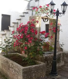 Carpignano Salentino Bed & Breakfast | B&B Masseria Donna Carlotta