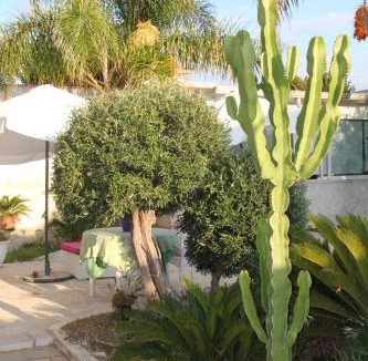 Municipio 5 Bed & Breakfast | B&B Valentino