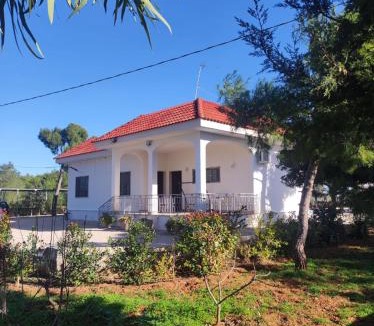 Province of Lecce Bed & Breakfast | B&B Villa VITTORIO