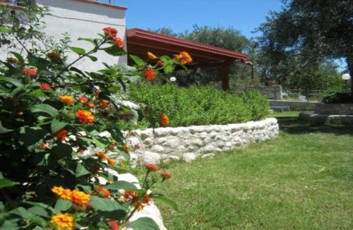 Mattinata Apartment | B & B Yellow wolfbane