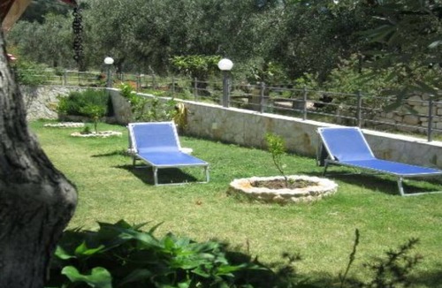 Mattinata Apartment | B & B Yellow wolfbane