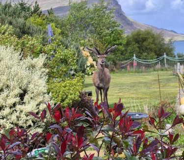 Portree Apartment | "Balmoral View"