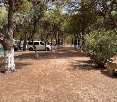 Manfredonia Other | Camping Tellina