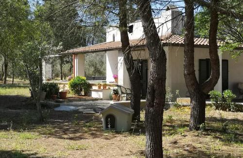 Manfio House | Casina la Rosina