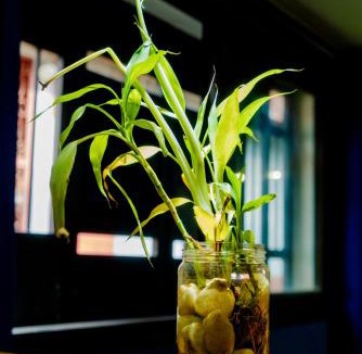 Hell-Ville Apartment | Cattleya Guest house