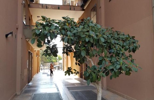 Municipio 2 Apartment | Cconforthotels Apartment Rosalba