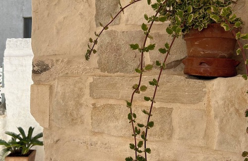 Alberobello House | Charming suites among trulli in the heart of Alberobello