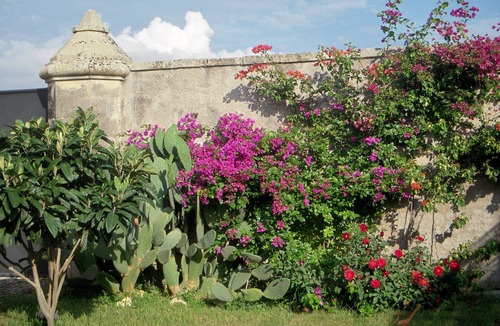 Minervino di Lecce Apartment | Cottage for 4/5 people, inside the Masseria, near Otranto and Badisco