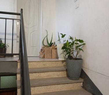 Mek'ele House | Diyasbora Lemlem studio