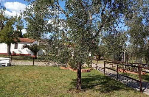 Montincello House | Domus Vestae