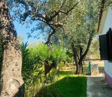Montincello House | Domus Vestae
