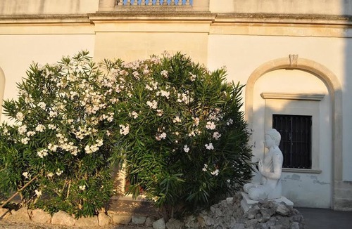 Castromediano Villa | Elegant, Luxury Villa Ilaria