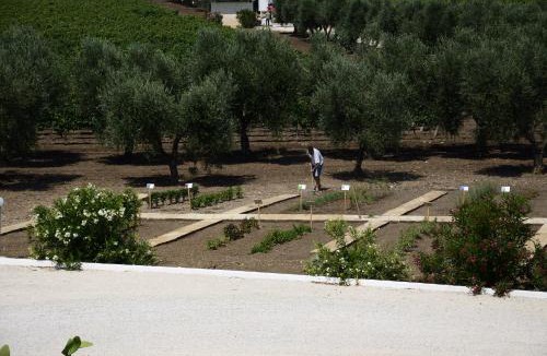 Carosino Apartment | Feudo Croce