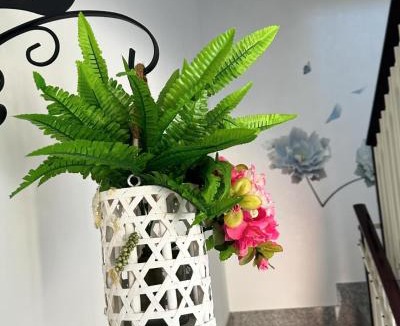 Scorrano House | Fiori e Farfalle - Casa Vacanze