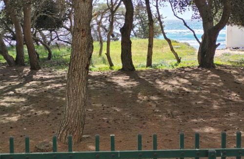 Rivabella Apartment | FRONTE PINETA MARE RIVABELLA