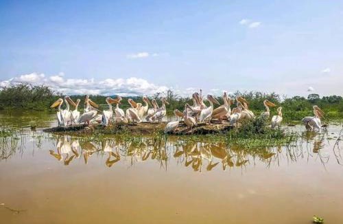 Amhara Region Other | Golan Tours Ethiopia