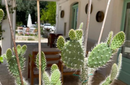 Ceglie Messapica Villa | Il Giardino degli Antichi Sapori