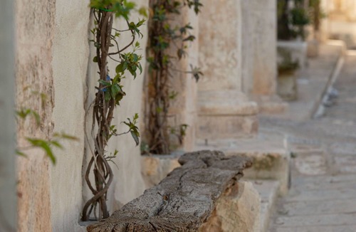 Ostuni Apartment | Il Quinto Elemento - Residence Of Charme - Argilla