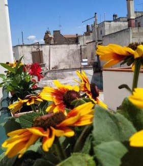 Avetrana Bed & Breakfast | Il Vicoletto