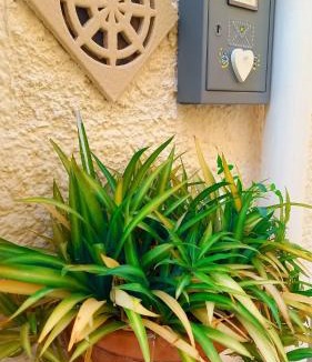 Monopoli Apartment | La Casa Di Lo