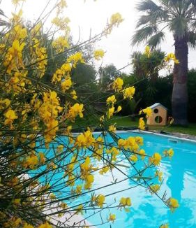 Trani Bed & Breakfast | La Ginestra