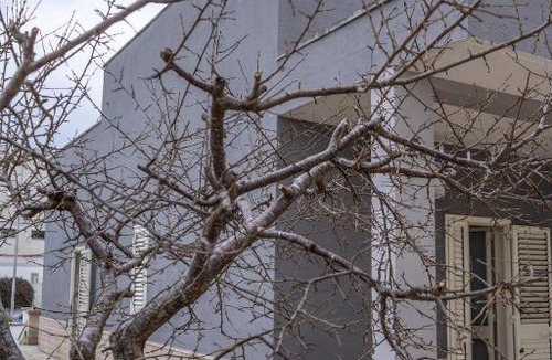 Otranto House | La Talega