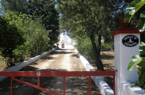 Ceglie Messapica House | Large trullo/villa, with private 10x4 m pool, in olive grove 2km from town