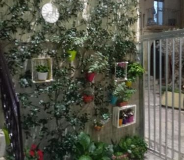 Altamura Apartment | Le camelie