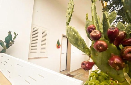 Collemeto Apartment | Li Palasciani